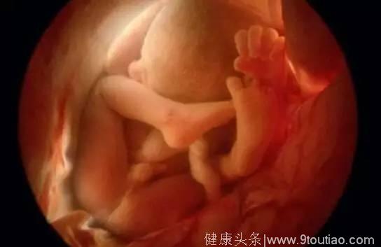 孕5个月胎儿发育情况？什么该吃 什么不该吃？
