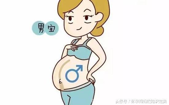 孕妈妈肚子上有条竖线 为什么能够判断胎儿性别