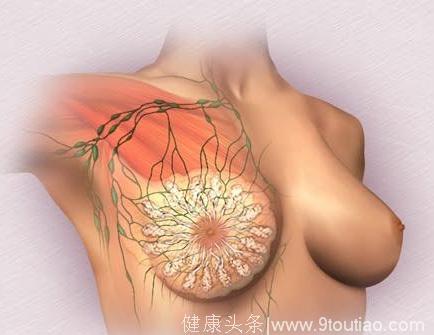 乳腺增生到底能吃葛根粉吗？