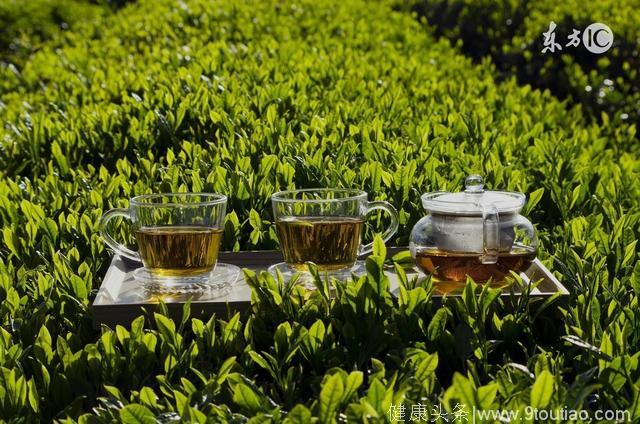 多喝绿茶可去油荤，那么感冒能喝绿茶吗？