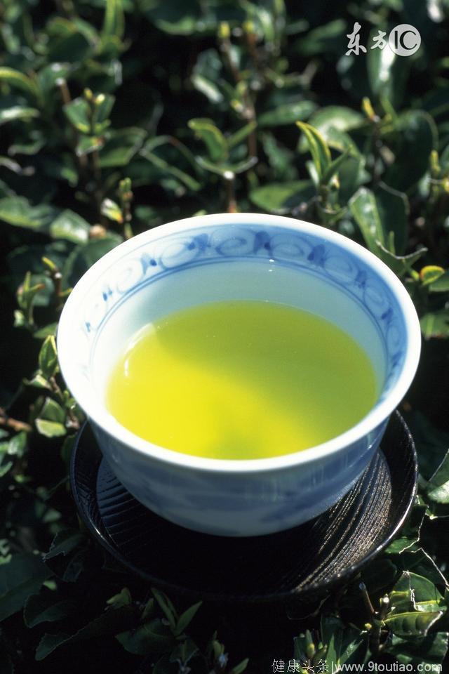 多喝绿茶可去油荤，那么感冒能喝绿茶吗？
