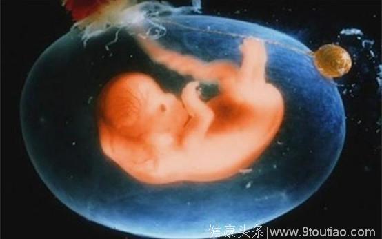 胎儿每月都在发育，可这5个时期成长最快，补充营养别错过