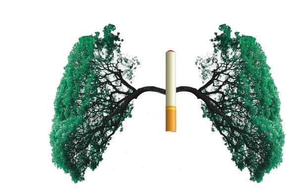不戒烟也能轻松清理肺部垃圾，早早远离肺癌君