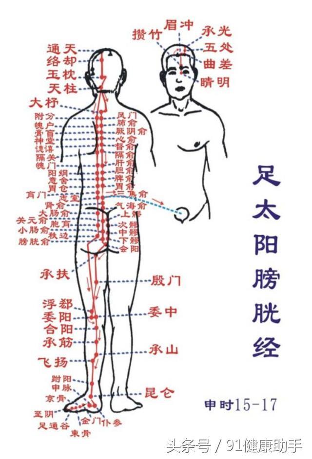 膀胱经腧穴及按摩