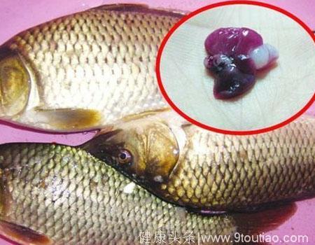 鱼身上这两个部位不能吃，会中毒或者致癌 赶紧告诉身边的人
