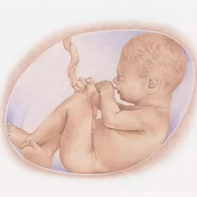 怀孕1-10月胎儿生长发育图，赶紧收了！