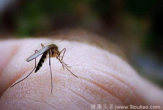 夏季孩子被蚊虫叮咬后，你们知道如何快速止痒吗？