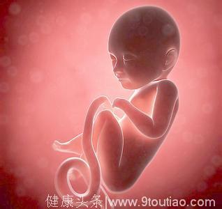 准妈妈你知道胎儿在肚子里口渴了怎么办？靠喝“尿”长大？