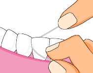 收藏｜这可能是史上最全牙线使用方法