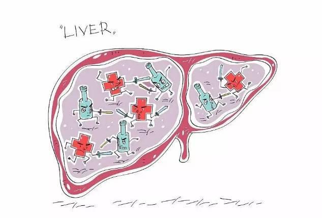 5个信号一出现，说明肝脏受损，护肝有5个关键点！