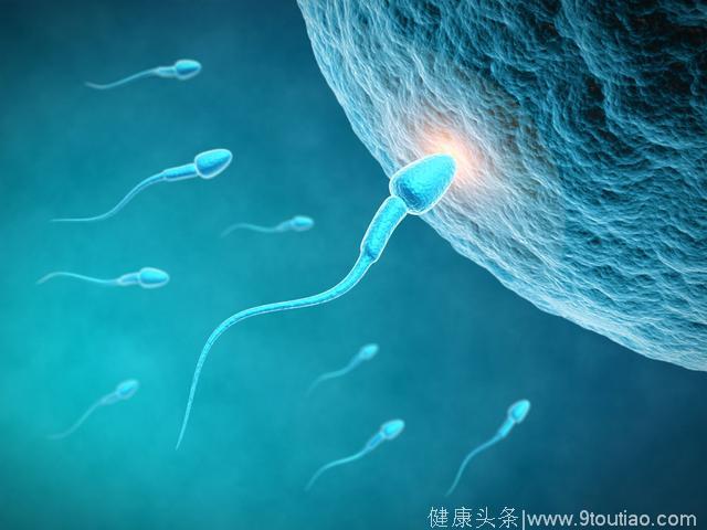 胎宝宝从什么时候开始不仅仅是一个胚胎，更是一个活生生的小生命