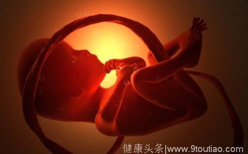 胎儿时期不仅有记忆还将影响出生后性格发育，孕妈别再轻易说“不要宝宝了！”