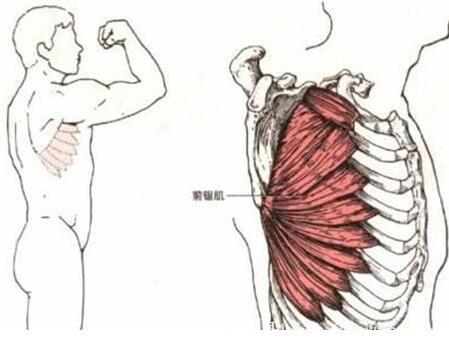 中医推拿缓解各种肩部疼痛的手法和推拿位置详解