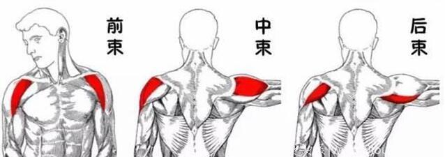 中医推拿缓解各种肩部疼痛的手法和推拿位置详解