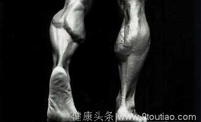 腿部肌肉分布图 深入理解腿部各个肌肉部位