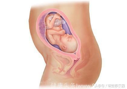 宝宝从21周到30周孕期发育过程图详解