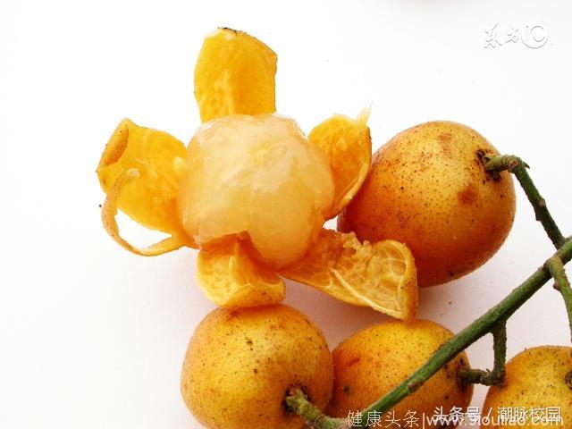 潮汕人夏季吃的水果之一，你吃过黄皮吗？