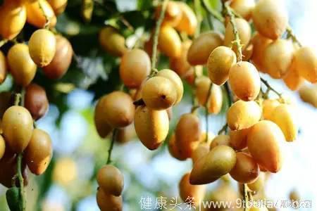 潮汕人夏季吃的水果之一，你吃过黄皮吗？
