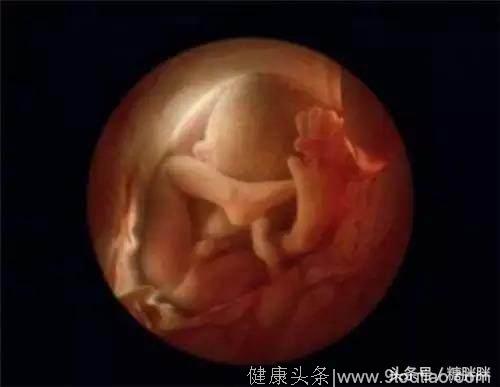 见证胎儿在子宫的成长奇迹