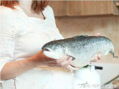吃鱼既健康又营养丰富，但不是都适合孕妇吃，孕期鱼的“六吃四不吃”