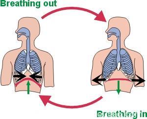 关于颈椎病的康复：先学会呼吸，再按图训练，想不好都难！