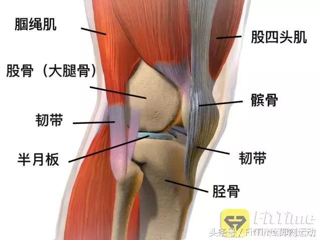 为什么运动后膝盖会痛？有什么治疗方法？