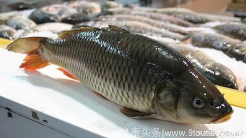 权威水产专家陈舜胜：从不买这6种鱼，浪费钱还损害健康