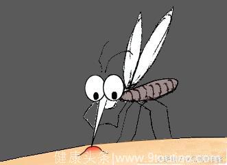 夏天经常被蚊子咬，跟血型有关么？