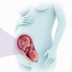 怀孕后，这4类女性容易出现前置胎盘！