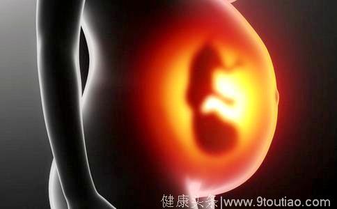 胎儿在妈妈肚子里面发育的十月发育过程图