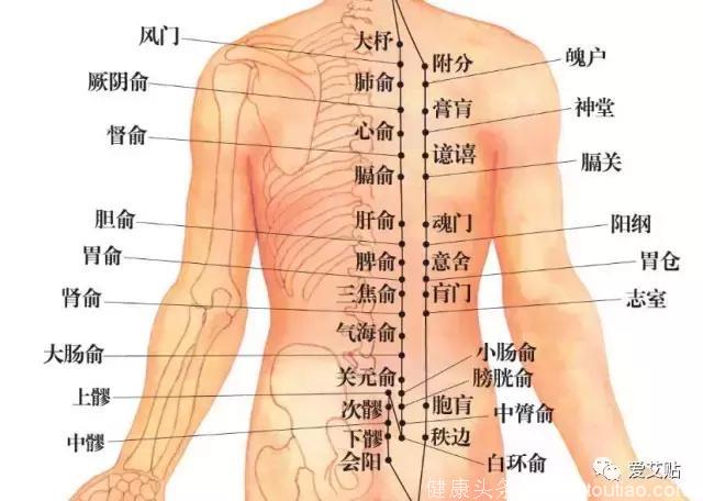 杨幂、舒淇都在针灸，针灸和艾灸的区别你都知道吗？