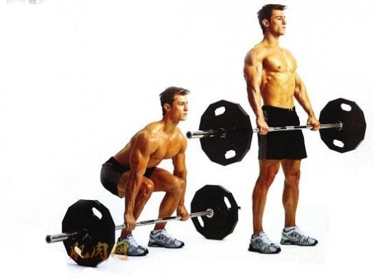 肌肉男健身促睾之：运动、食补必藏攻略