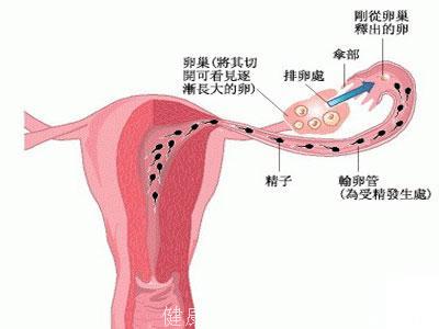 女性最关注的10大健康的话题