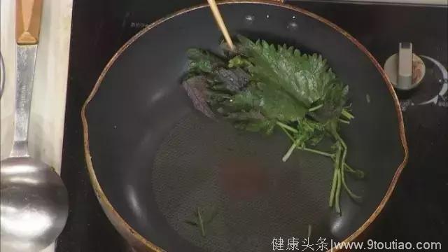 它是清热解毒草，消炎杀菌！三伏天喝一杯，体内毒素扫光光！