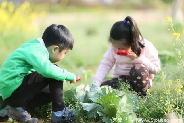 孩子学得费力？全怪你打扰了他的专注力！