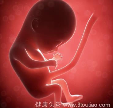 怀孕两个月孕妈和胎儿有这些变化 妈妈真不容易