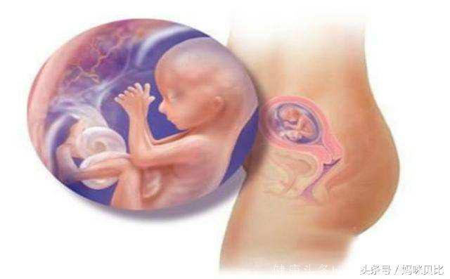 孕期，孕妈只要忍住这三点！不用担心“胎宝宝”出生后会睡颠倒！