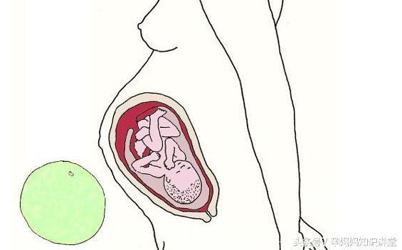 想知道胎儿发育每个月多大了吗？用这些水果可以描绘出，太像了