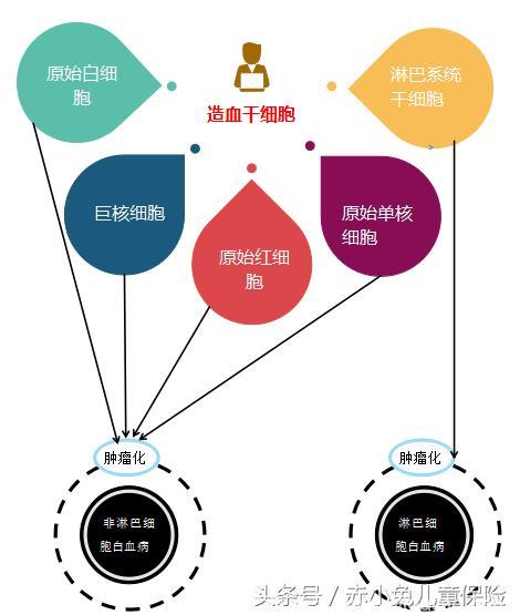 白血病是重疾吗？