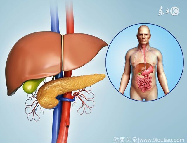 肝脏出现这几种异常，说明你有肝囊肿了！