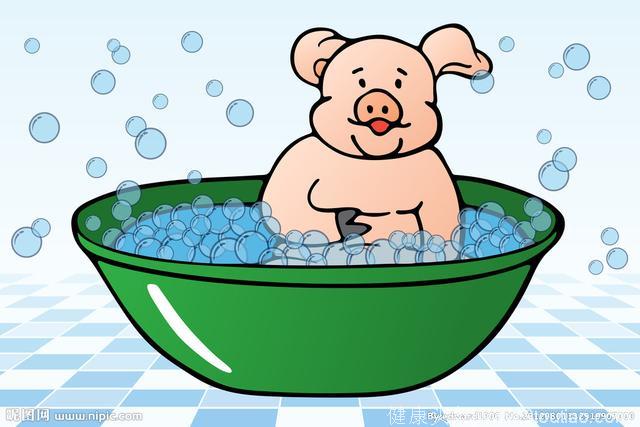 夏天猪热应激 0 死亡！最科学的猪热应激治疗方案！