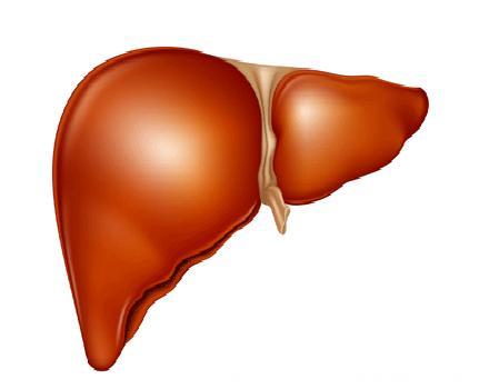 四点告诉你肝脏是否健康，保护肝脏“三不做”！