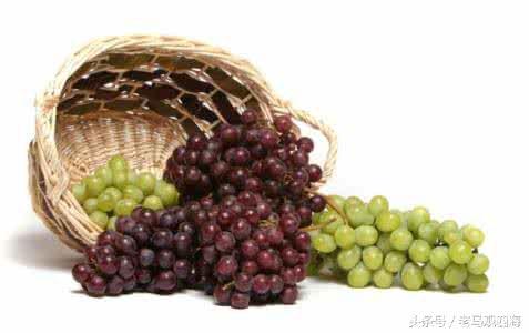 补益气血食物葡萄——补血果