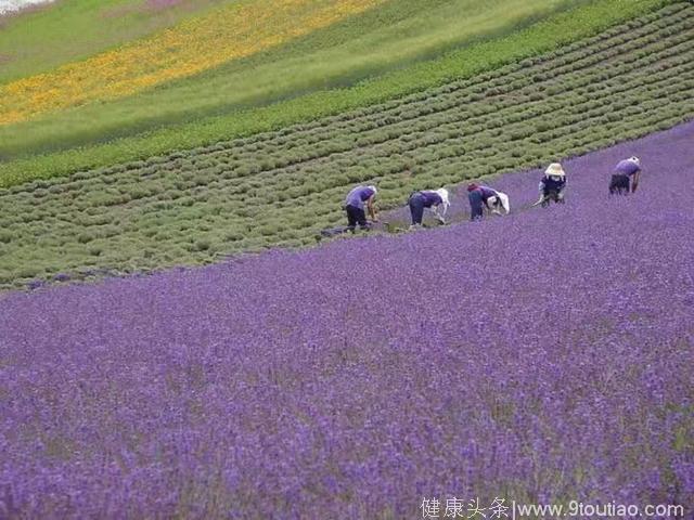 不朽的失眠