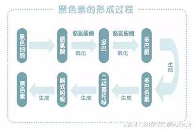 「白癜风必看」生成黑色素的关键——酪氨酸酶