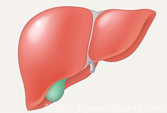 国际卫生组织（WHO）呼吁现代人——警惕脂肪肝！