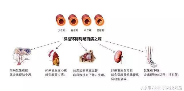 经络一堵人就老，养肺是关键！