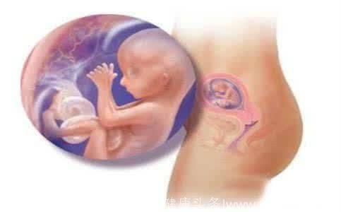 神奇的子宫：怀孕产后变化惊人！