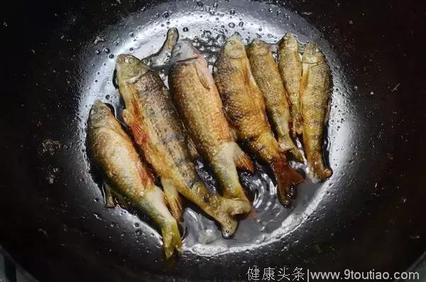 余江菜市场常见的鱼！竟然毒倒几个人啦！千万要注意！