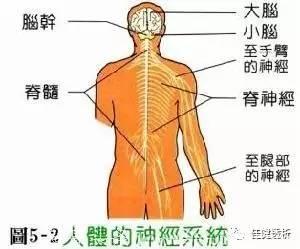 血液透析有哪些远期并发症？